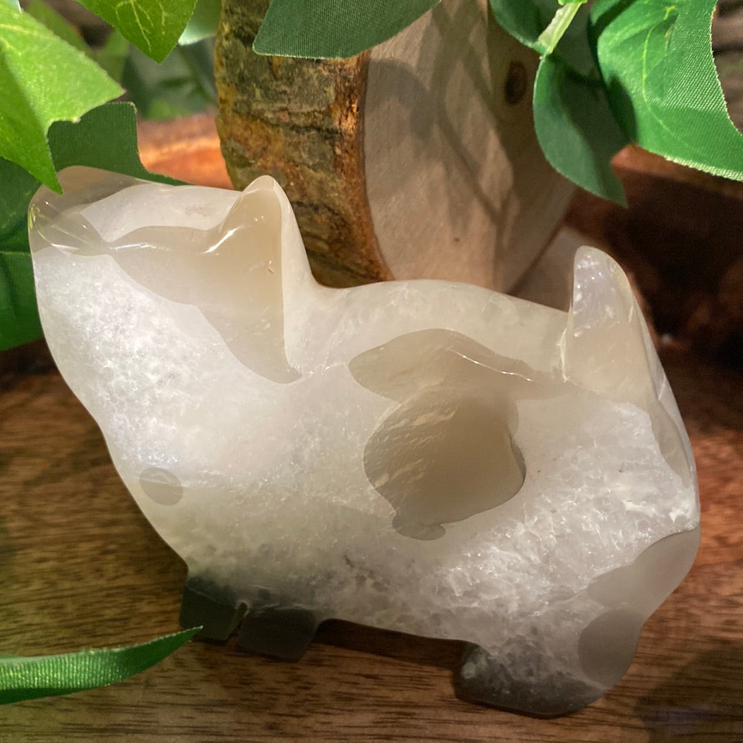 Agate cat crystal